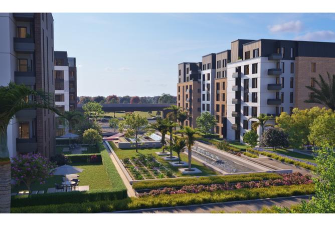 7981774 - Property Image 3