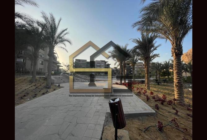 7975142 - Property Image 3