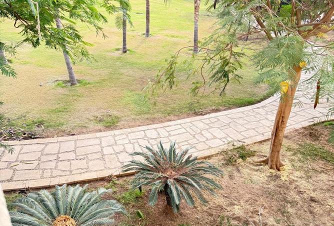 8339132 - صورة العقار 2