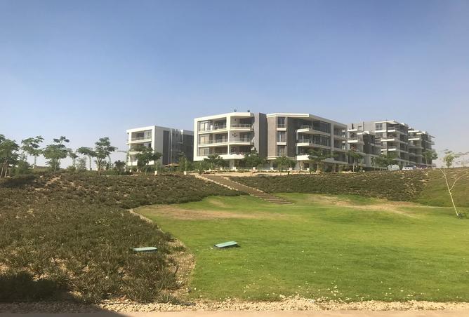 7987991 - صورة العقار 2