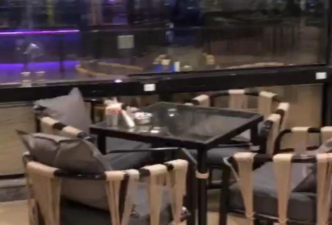 8195631 - Property Image 2