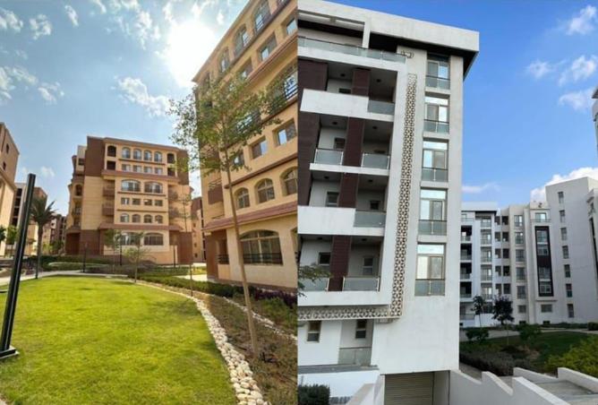 8433629 - Property Image 3