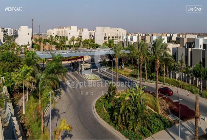 7969705 - صورة العقار 3