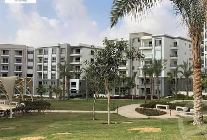 8435821 - Property Image 3