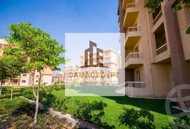 8253234 - صورة العقار 3