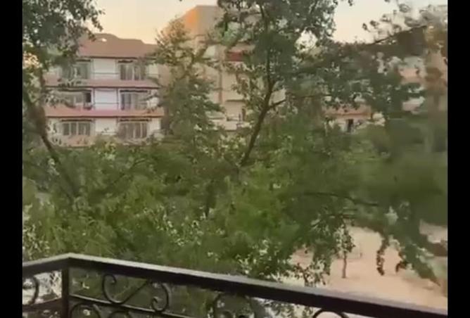 8375352 - Property Image 3