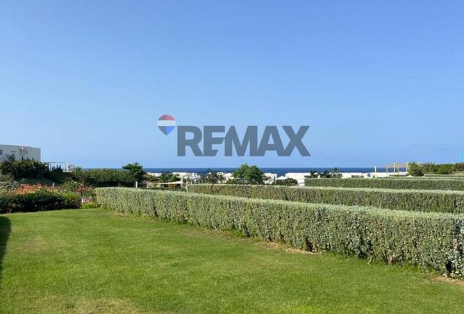 7893355 - Property Image 3