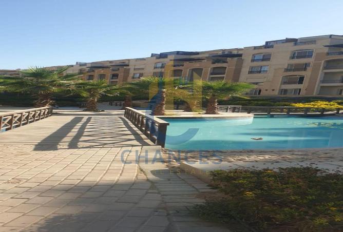 7956853 - صورة العقار 3