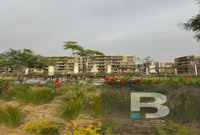 7974505 - Property Image 2