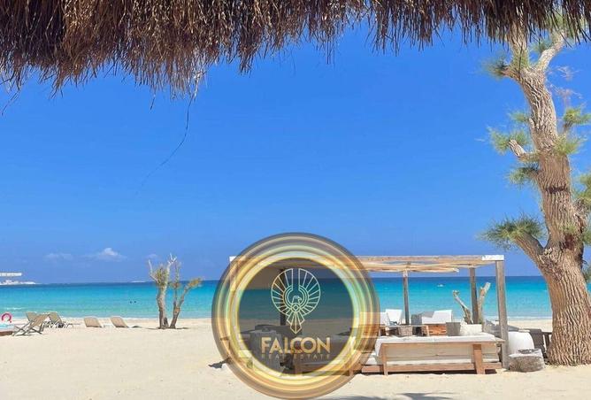 8160560 - صورة العقار 2