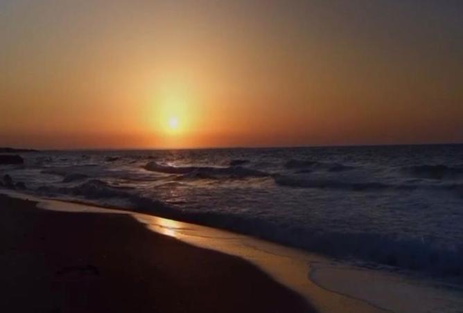 8000375 - صورة العقار 3