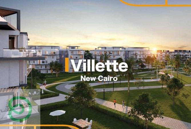 8403655 - Property Image 3