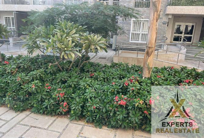 8157614 - Property Image 2