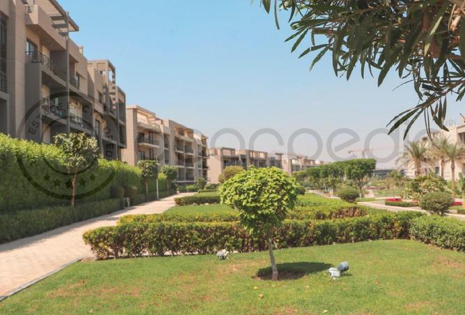 8207239 - Property Image 3