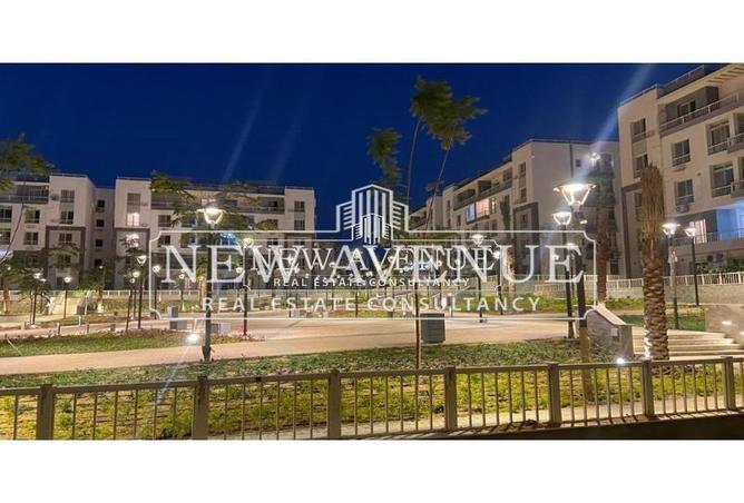 8291887 - Property Image 3