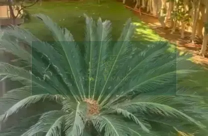 Villa - 4 Bedrooms - 5 Bathrooms for sale in Swan Lake Katameya - The 1st Settlement - New Cairo City - Cairo Villa - 4 Bedrooms - 5 Bathrooms for sale in Swan Lake Katameya - The 1st Settlement - New Cairo City - Cairo