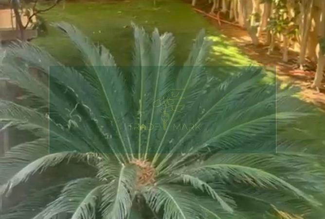 8347682 - Property Main Image