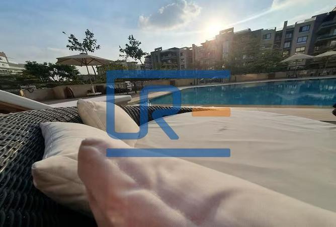 7992132 - Property Image 3