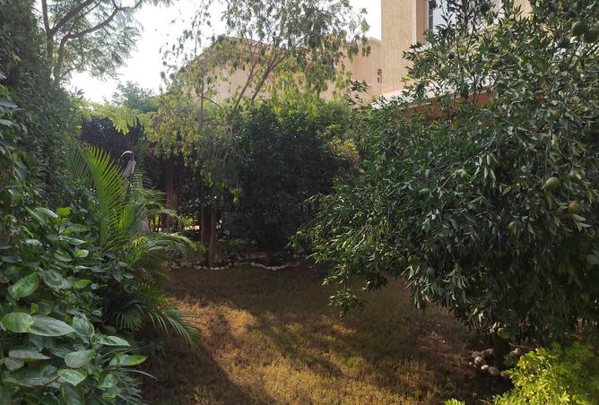 8214860 - صورة العقار 3