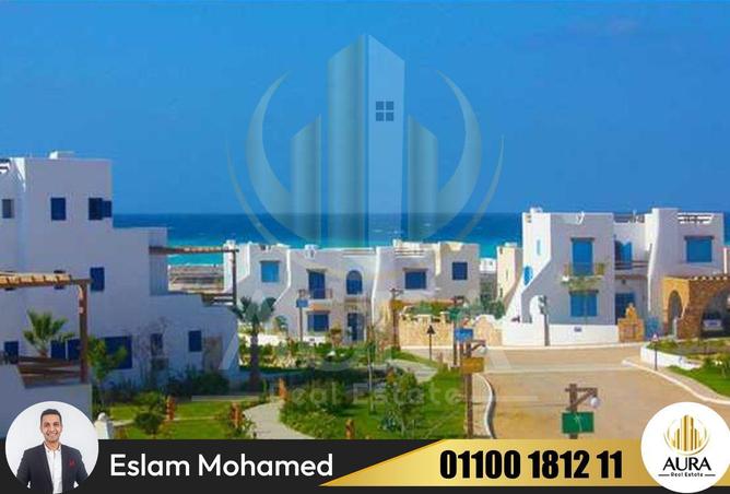 5335010 - Property Image 3