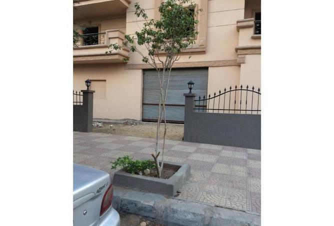 7912497 - صورة العقار 2