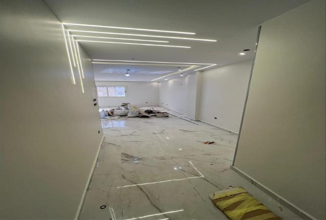 8092216 - Property Image 3