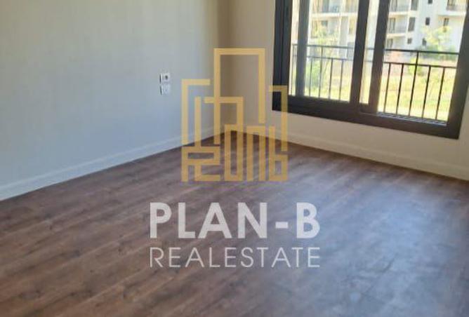 8105381 - Property Image 3