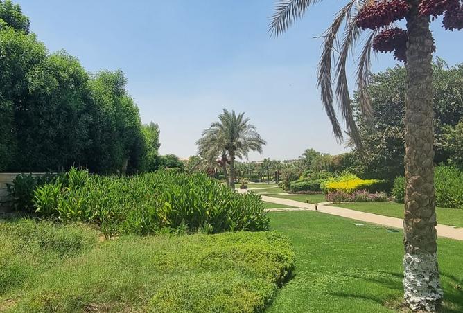 7959632 - صورة العقار 3