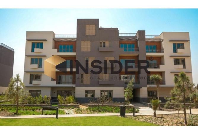 8419069 - Property Image 3