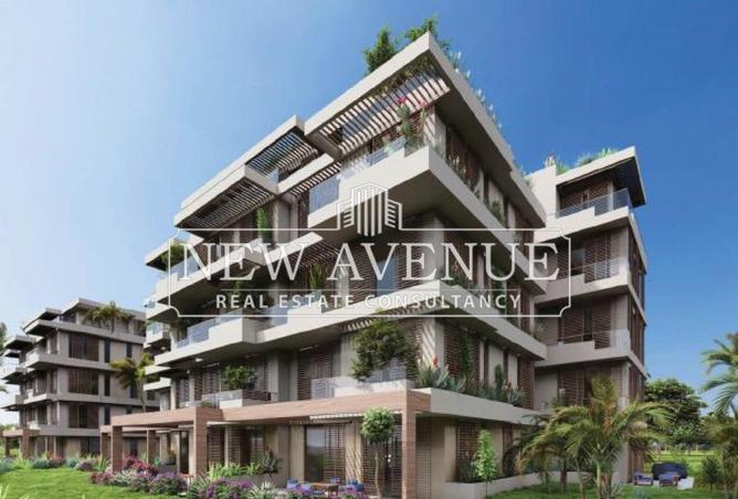 7899182 - Property Image 3