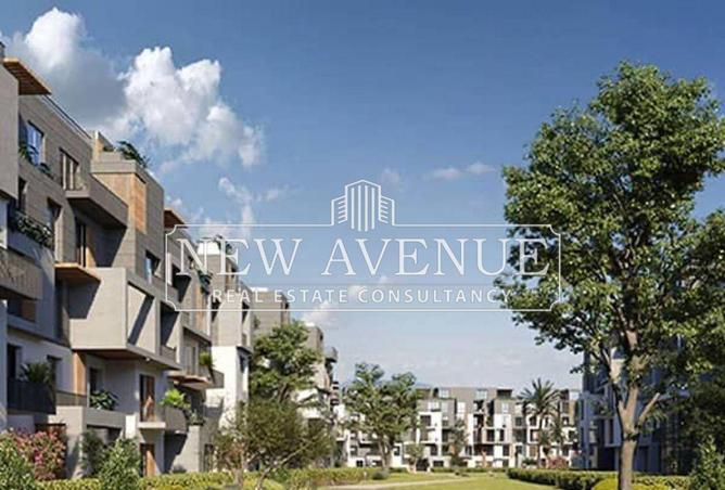 8061053 - Property Image 3
