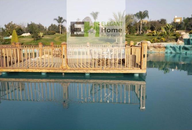 8309393 - صورة العقار 2