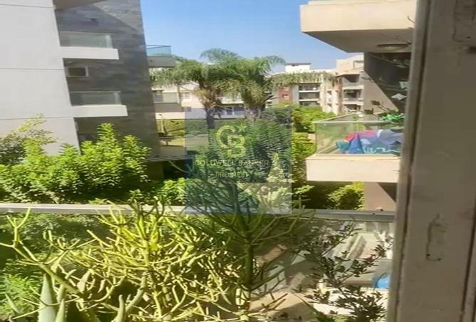 8081643 - Property Image 3