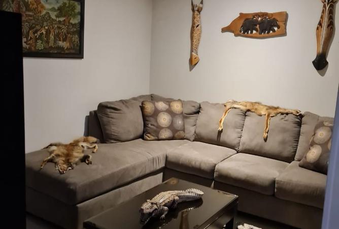 8444792 - Property Image 3