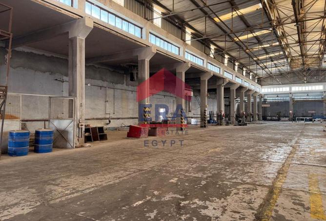 8169140 - صورة العقار 3