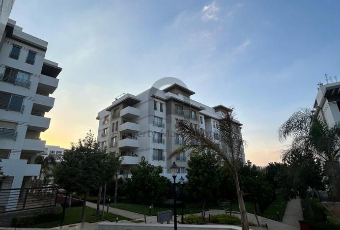 8248446 - Property Image 2