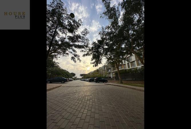 8033832 - Property Image 3