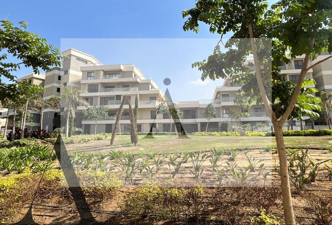 7914136 - الصورة الرئيسية للعقار