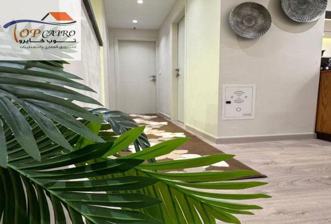 8440660 - Property Image 3