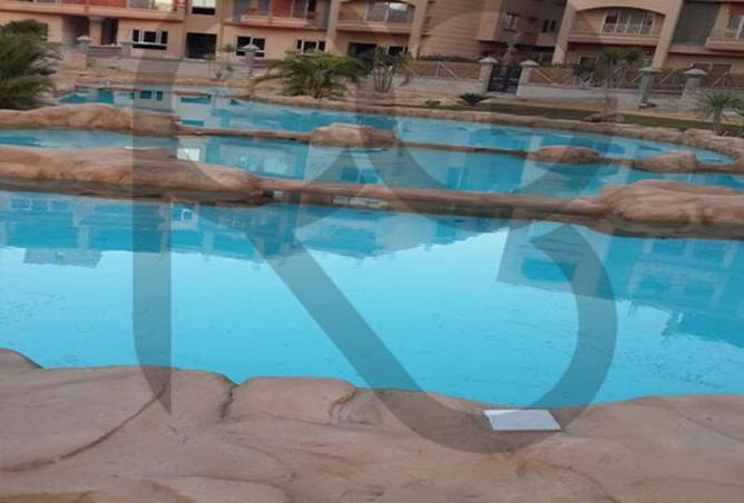 8258085 - Property Image 3