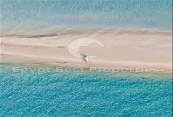 7905028 - صورة العقار 3