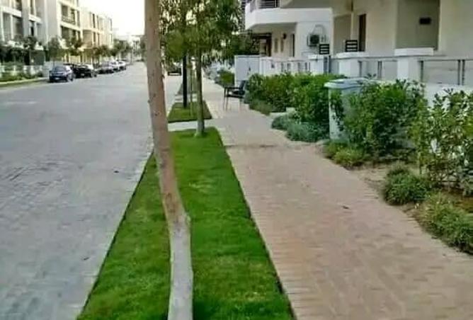 8177517 - صورة العقار 2