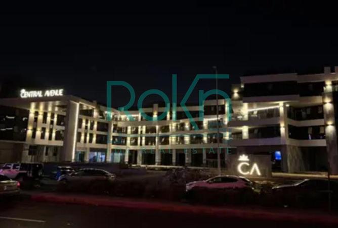 8397771 - Property Image 2