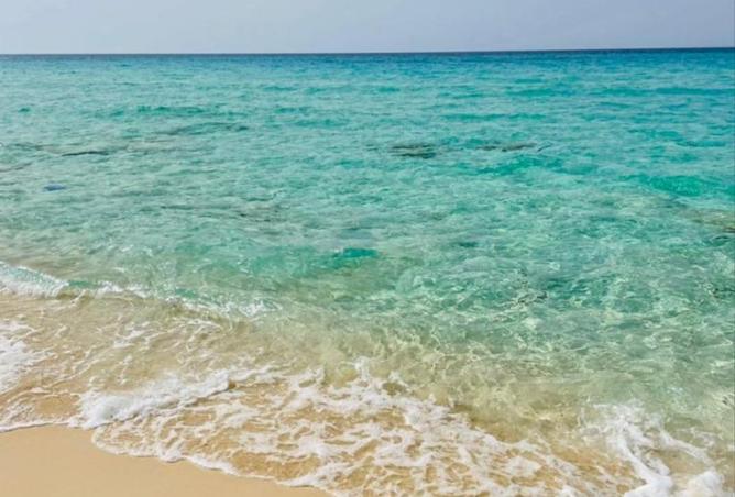 8470119 - Property Image 2