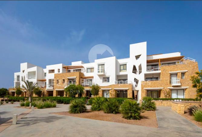 8441498 - Property Image 3