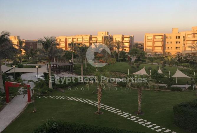 7889371 - Property Image 3