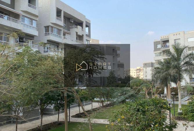 8369960 - Property Image 3