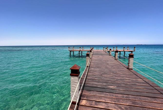 8204505 - صورة العقار 3