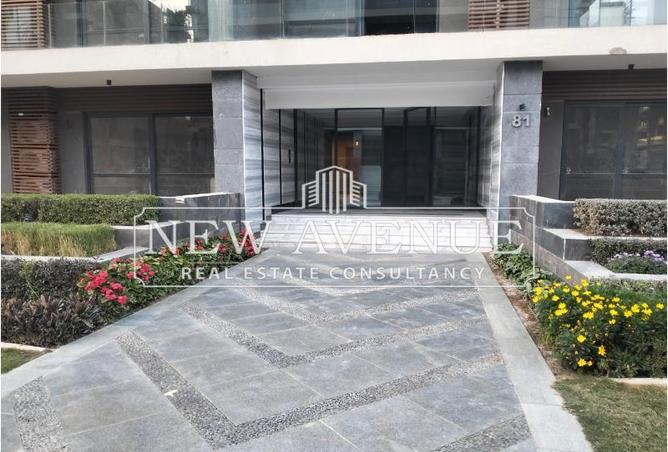 8127818 - Property Image 3