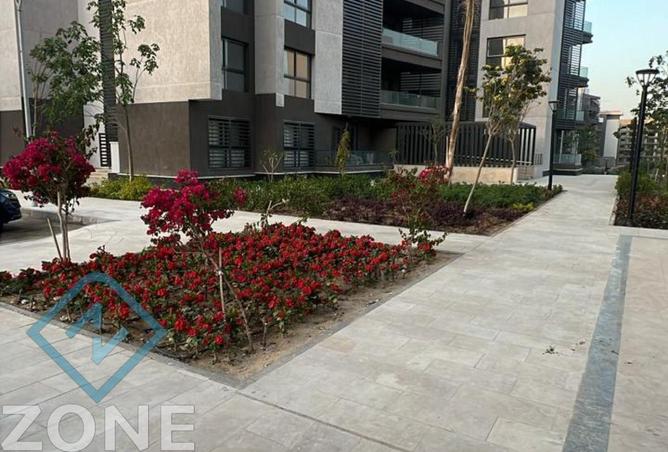 8146980 - صورة العقار 3